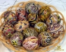 писанки