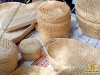 Раїса Корякіна