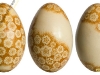 driapanky