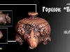 Горшок