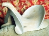 saddle horse