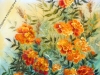marigold