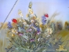 field flowers