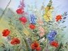 field flowers