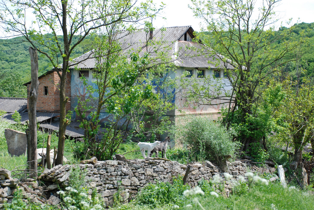 Олексій Альошкін